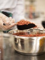 گوجی بری خشک اچ ام لند (1)