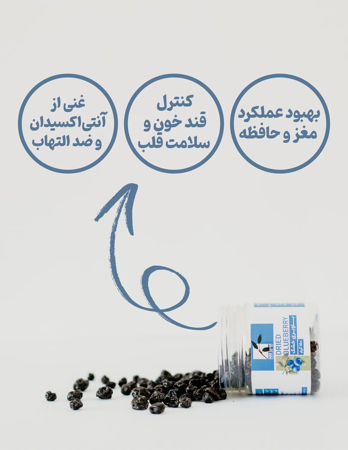 بلوبری خشک Hmland؛ هر دانه، ترکیبی از سلامت، طعم و آنتی‌اکسیدان