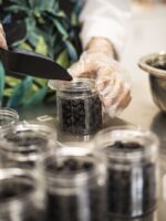 بلوبری خشک اچ ام لند (2)