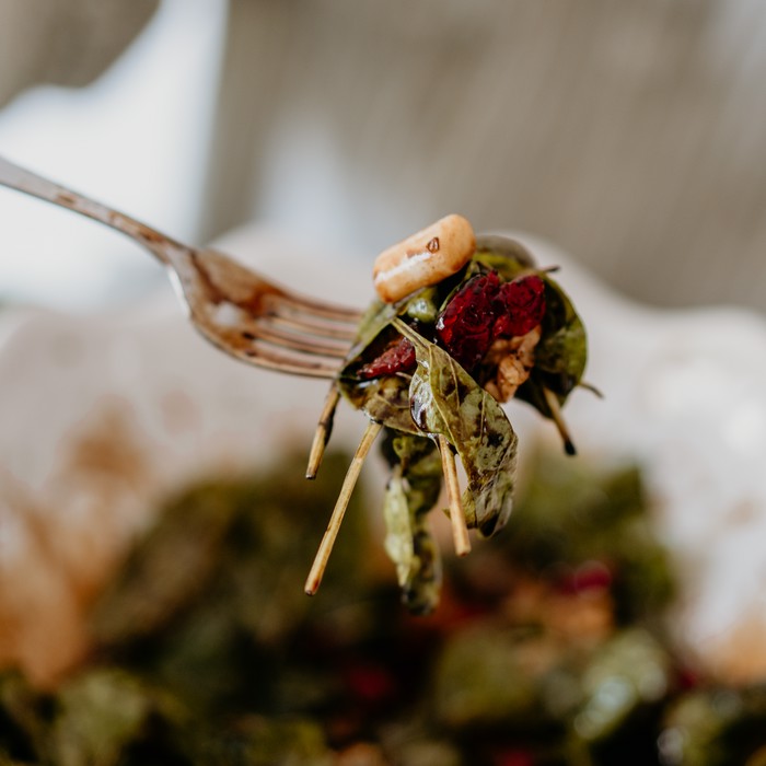 طرز تهیه سالاد بی بی اسفناج با کرنبری خشک و روغن زیتون (1)