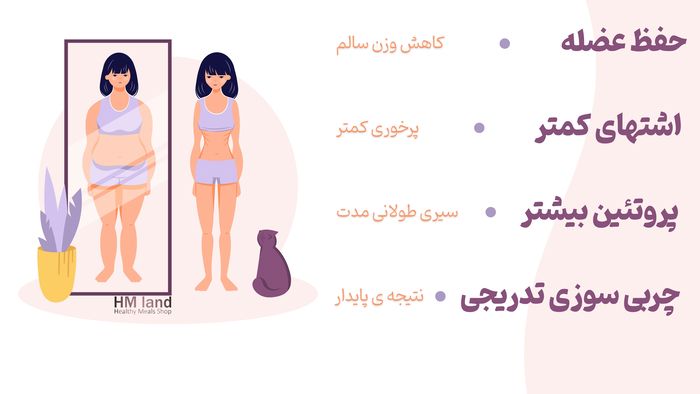 چرا رژیم پر پروتئین برای کاهش وزن مؤثر است؟