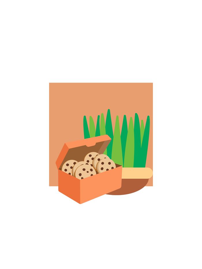 طرز تهیه شیرینی خانگی عید نوروز سالم، پروتئینی و رژیمی